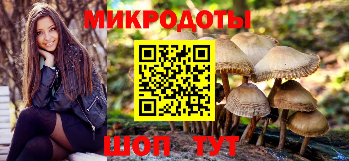 Псилоцибиновые грибы Cubensis Вольск