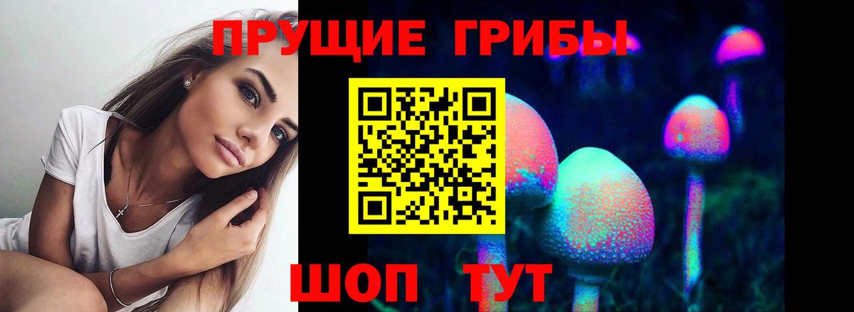 хочу наркоту  Вход с VPN  Галлюциногенные грибы GOLDEN TEACHER  Вольск  Галлюциногенные грибы прущие грибы 